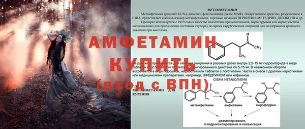 спиды Алзамай